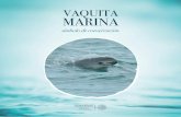 VAQUITA MARINA - gob.mx€¦ · berga 100 especies de aves marinas, algunas de ellas en peligro de extinción. Zona de alimentación, reproducción y crian-za de cientos de vertebrados