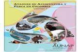 SERIE RECURSOS PESQUEROS DE COL · 2016-05-06 · SERIE RECURSOS PESQUEROS DE COL Diciembre de 2015 AVANCES DE ACUICULTURA Y PESCA EN COLOMBIA VOLÚMEN I OMBIA - AUNAP - Editores