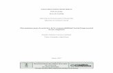 Mecanismos para la práctica de la responsabilidad Social ...repositorio.uasb.edu.ec/bitstream/10644/6152/1/T2582-MGD-Cisneros-Mecanismos.pdfYo, Daniela Stefanie Cisneros Andrade,