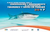 DE LAS PESQUERÍAS DE TIBURONES Y RAYAS EN PANAMÁ · de las Pesquerías de Tiburones y Rayas en Panamá (Juan M. Posada, Shirley Binder, Haydee Medina, ... El contenido de esta publicación