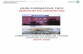 GUIA FORMATIVA DE URGENCIAS 2019 - Castilla-La Mancha · Perfil pancreático (amilasa, lipasa) y hepático urgente (GOT, GPT, Bilirrubina), además de ácido láctico, LDH, proteína