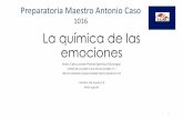 1016 La química de las emociones - Conexiones DGIREconexiones.dgire.unam.mx/wp-content/uploads/2017/... · La química de las emociones María Celia Lourdes Pineda Espinosa (Psicología)