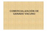 COMERCIALIZACIÓN DE GANADO VACUNOcarne/PDF/Comercializacion.pdf · descarga del ganado se realiza en muelles convencionales. Los Equipos de Doble Piso le permiten cargar: 200 terneras/os