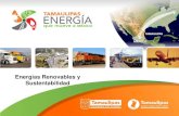 Energías Renovables y Sustentabilidad...Ejes Rectores PLAN ESTATAL DE DESARROLLO TAMAULIPAS 2011-2016 UN TAMAULIPAS SEGURO UN TAMAULIPAS HUMANO UN TAMAULIPAS SUTENTABLE DESARROLLO