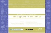 Boletín de resultados Ibague-Tolima · los colombianos sobre la CTI. Es así como agrupamos las 32 ciudades capitales del país en seis estratos según su IDH: muy alto, alto, medio,