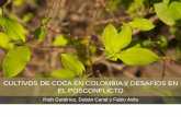 CULTIVOS DE COCA EN COLOMBIA: impactos socio ......cultivos de coca [coberturas, indices socio-culturales, variables ambientales]: Impactos negativos y positivos en la economía regional,