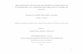 DECISIONES DE CONSUMO DEL HOGAR BAJO UN MERCADO …bibliotecadigital.univalle.edu.co/bitstream/10893/12268/1/0582462-3340-E.pdf · fronteras del país bajo modalidad de micro-contrabando.
