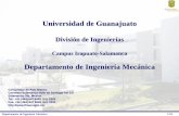 Universidad de Guanajuato...Optimización del quemado de ladrillo rojo utilizando gas LP, para el Municipio de Salamanca. Instituto de Ecología, Gobierno del estado de Guanajuato.