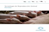 Tecnología de Reproducción Animal Porcinoranchproducts.com.ec/wp-content/uploads/2019/07/Minitube...de tecnología a nivel mundial. En estrecha colaboración con renombrados centros