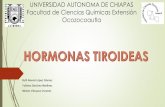 UNIVERSIDAD AUTONOMA DE CHIAPAS Facultad de Ciencias ... · (3,5,3-triyodo-L-tironina). Las hormonas tiroideas, L-tiroxina (T4) y T3 entran en la célula a través de proteínas transportadoras.