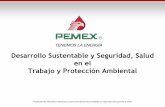 Desarrollo Sustentable y Seguridad, Salud en el Trabajo y ... · Desarrollo Sustentable y Seguridad, Salud en el Trabajo y Protección Ambiental. Propiedad de Petróleos Mexicanos