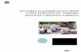 Sectores económicos en crisis casos específicos: Turismo ... · una institución excluyente y poco responsable para cumplir con obligaciones hacia la población guatemalteca de