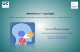 Otorrinolaringología. Tema 7. Traumatismos del oído medio, … · 2019-02-22 · • Barotrauma: - Generalmente afecta a oído medio pero también puede afectar al OI. - Lesiones