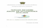 TERCER INFORME ANUAL DE ACTIVIDADES 2016 2020planeacion.uaemex.mx/.../Periodo2016-2020/3_Informe16_20_Enfermeria.pdf · Tercer Informe Anual de Actividades 2016-2020. Facultad de