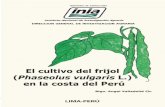 El cultivo del frijol (Phaseolus vulgaris L.) en la costa ...repositorio.inia.gob.pe/bitstream/inia/860/1/Valladolid-Cultivo_Frijol_costa.pdf · Esta fija el nitrógeno atmosférico