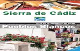 Sierra de Cádiz- · En trabajos en mimbre o caña destacan Setenil de las Bodegas y Bornos, mientras que la cerámica sobresale en Arcos de la Frontera y los instrumentos musicales