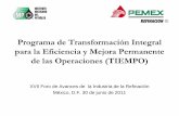 Programa de Transformación Integral para la Eficiencia y ... · adicionales basados en la eficiencia operativa y administrativa alcanzadas 1. Mejoramiento del Desempeño Operativo
