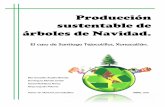 Producción sustentable de árboles de Navidad.csh.ler.uam.mx/uploads/thesis/document/23/TT_PP_01-2015.pdf · Plantaciones Forestales) y fue rediseñado en 2001, siendo el primero