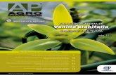 VARIACIÓN DE AROMA EN Vanilla planifolia · y el contenido de vainillina como las variables que indican la calidad de la vainilla gourmet. Con los resultadados, se analizó el efecto