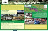 Programa Bosques Mexicanos SIERRA NORTEawsassets.panda.org/downloads/06_sierranorte_poster.pdfAntecedentes Logros y Avances Está habitada por comunidades Chinantecas, Zapotecas y