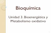 Unidad 3. Bioenergética y Metabolismo oxidativosaber.ucv.ve/bitstream/123456789/6103/3/UNIDAD 3a.pdf · 1. Puntual asistencia al horario de dictado de la asignatura. 2. Prestar atención