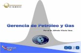 Por el Dr. Alfredo Viloria Vera - Industria...1.- GAS NATURAL Combustible gaseoso obtenido de fuentes o depósitos, o por vaporización de gas natural licuado, y consiste en una mezcla