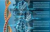 Bioinformática para análisis metagenómicoscpps.dyndns.info/cpps-docs-web/planaccion/docs2018... · Aplicaciones de la Bioinformática • Adquisición de datos • Análisis de