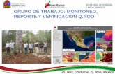 GRUPO DE TRABAJO: MONITOREO, REPORTE Y …En términos generales, el sistema nacional MRV considerará 3 componentes principales para la medición, reporte y verificación de emisiones