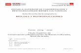 MOLDES Y REPRODUCCIONES - escrbc.comº/Moldes y Reproducciones.pdf · Teoría y práctica de las distintas técnicas de moldeado y reproducción. Moldes y reproducciones: Concepto,
