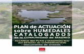 Plan de actuación sobre humedales catalogados de la Comunidad de … · 2018-04-16 · PLAN DE ACTUACIÓN SOBRE HUMEDALES CATALOGADOS DE LA COMUNIDAD DE MADRID 2 Alcance del Plan
