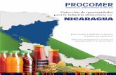 1. COSTA RICA. 2. NICARAGUA. 3. COMERCIO EXTERIOR.servicios.procomer.go.cr/aplicacion/civ/documentos/... · 25 de agosto del presente año,# en la cual se realizaron entrevistas con