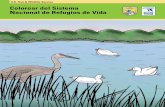 Colorear del Sistema Nacional de Refugios de Vida book Spanish(4).pdf · nacional de vida silvestre hace más de 100 años. El Presidente eligió a Pelican Island (Isla de Pelícanos)