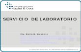 SERVICIO DE LABORATORIO · 2010-05-04 · Se prepara una jeringa TERUMO de 20 ml ; con 5 ml de medio de transporte ( material provisto por el Laboratorio del Hospital El cruce) .