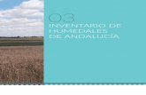 INVENTARIO DE HUMEDALES DE ANDALUCÍA · El Inventario de Humedales de Andalucía (IHA) se crea y regula por el Decreto 98/2004, de 9 de marzo, y constituye un catálogo de naturaleza