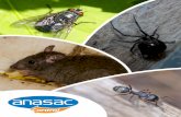 INSECTICIDAS - Anasac Control · control preventivo y curativo de todo tipo de insectos de importancia económica - sanitaria en ambientes tan distintos como planteles pecuarios,