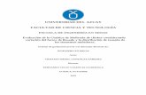 UNIVERSIDAD DEL AZUAY FACULTAD DE CIENCIA Y TECNOLOGÍAdspace.uazuay.edu.ec/bitstream/datos/9303/1/14947.pdf · 2019-07-20 · UNIVERSIDAD DEL AZUAY FACULTAD DE CIENCIA Y TECNOLOGÍA
