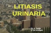 LITIASIS URINARIA - UCM ppt.pdfLitiasis Urinaria Apartado de la Urología que estudia el origen de los cálculos en el aparato excretor urinario , la morbilidad que sobre él origina