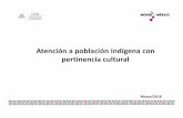 Atención a población indígena con pertinencia culturalEstadística y Geografía (INEGI) estima una población de 15.7 millones de indígenas en México, de los cuales 6.6 millones
