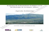 Programa de Ordenamiento Ecológico Local del …siga.jalisco.gob.mx/multi/dpdsagendaambientaljoco2.pdfPrograma de Ordenamiento Ecológico del Municipio de Jocotepec, Jalisco Agenda