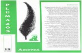 amevea.org · 2019-05-13 · manera de inauguración y lanzamiento de ideas. el 23 de noviembre con motivo de aniversano de AMEVEA (23 años). La Junta Directiva está preparando