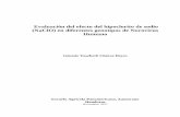 Evaluación del efecto del hipoclorito de sodio …...iii Evaluación del efecto del hipoclorito de sodio (NaClO) en diferentes genotipos de Norovirus Humano Génesis Yosebeth Chávez
