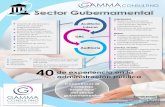 40 de experiencia en la administración públicagammaconsulting.com.pa/docs/gamma-consulting-sector-gobierno.pdf · Mecanismo de autoevaluaciones CONTROL INTERNO Implementación u