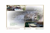 Hacia la excelencia en el manejo efectivo de las Áreas ... · Hacia la excelencia en el manejo efectivo de las Áreas Naturales Protegidas de México 2 Documento técnico base del