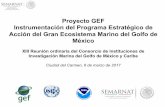 Proyecto GEF Instrumentación del Programa …...Proyecto GEF Instrumentación del Programa Estratégico de Acción del Gran Ecosistema Marino del Golfo de México XIII Reunión ordinaria