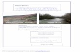Informe Técnico: ALTERNATIVA VIABLE Y SOSTENIBLE AL ... río Arlanza.pdf · Cuenca del Arlanza sin embalse de Castrovido 0 ... El Proyecto de presa Castrovido III sobre el río Arlanza
