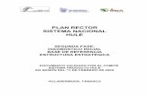 PLAN RECTOR SISTEMA NACIONAL HULE · 2016-09-21 · proveedor de hule en el mundo; cuando su uso se multiplicaba rápidamente, Brasil prohibió la salida de plantas o semillas de