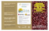 cep.unep.orgcep.unep.org/repcar/capacitacion-y-concienciacion/upoli/BPA Frijol triptico.pdf · En el cultivo de frijol, la enfermedad conocida como mosaico dorado, es transmitida