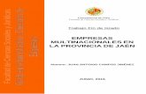EMPRESAS MULTINACIONALES EN LA PROVINCIA DE JAÉNtauja.ujaen.es/bitstream/10953.1/6503/1/TFG - Campos Jimenez, Juan... · de la inversión directa extranjera. Comenzando desde la