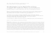 Ecofenotipos en la depresión mayor: el papel del maltrato físico en la …scielo.isciii.es/pdf/neuropsiq/v38n133/0211-5735-raen-38-133-0075.pdf · ción de la personalidad, a su