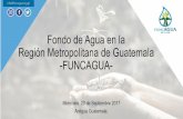 Fondo de Agua en la Región Metropolitana de Guatemala ...para-agua.net/extras/fondos/2._FUNCAGUA_Guatemala.pdf · c) Falta de normativa y registros sobre la cantidad real que se